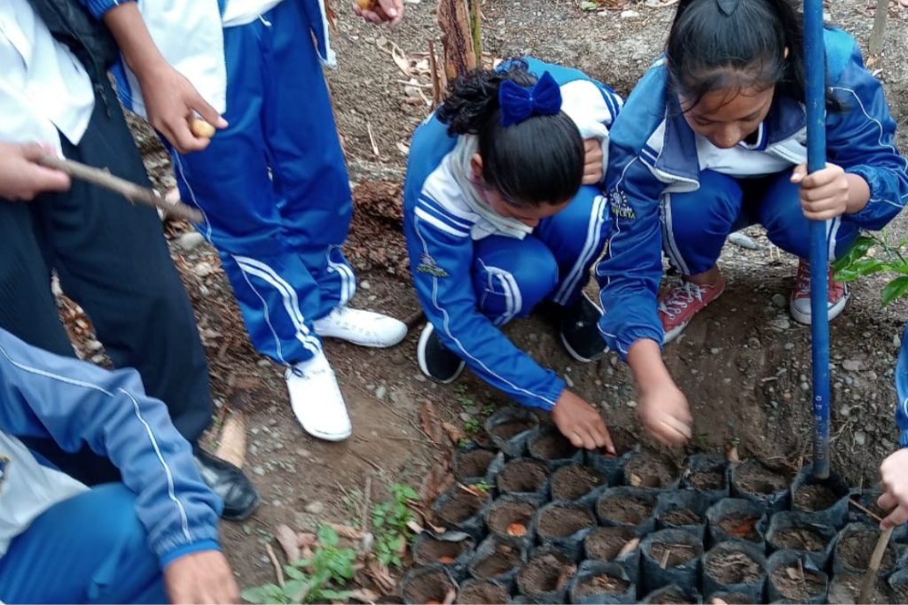 Adobe Express – file (6)